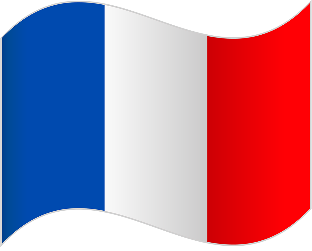 French <br>not completely fluent